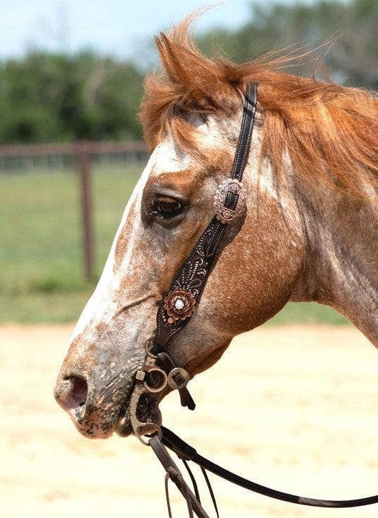 Hand Painted Paisley - Copper AB Rosette One Ear Headstall