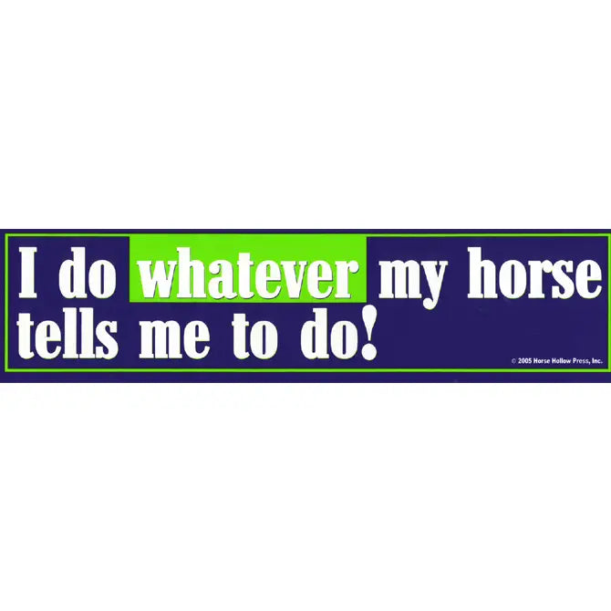 Horse Bumper Sticker