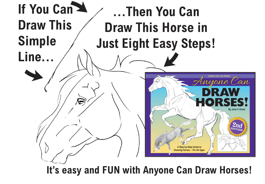 Art Book Horse Equestrian / Anyone Can Draw Horses / All age