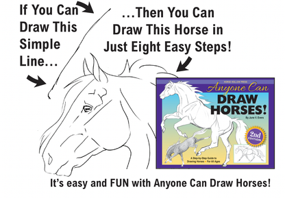 Art Book Horse Equestrian / Anyone Can Draw Horses / All age