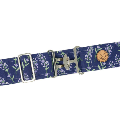 The Posh Pony Belts