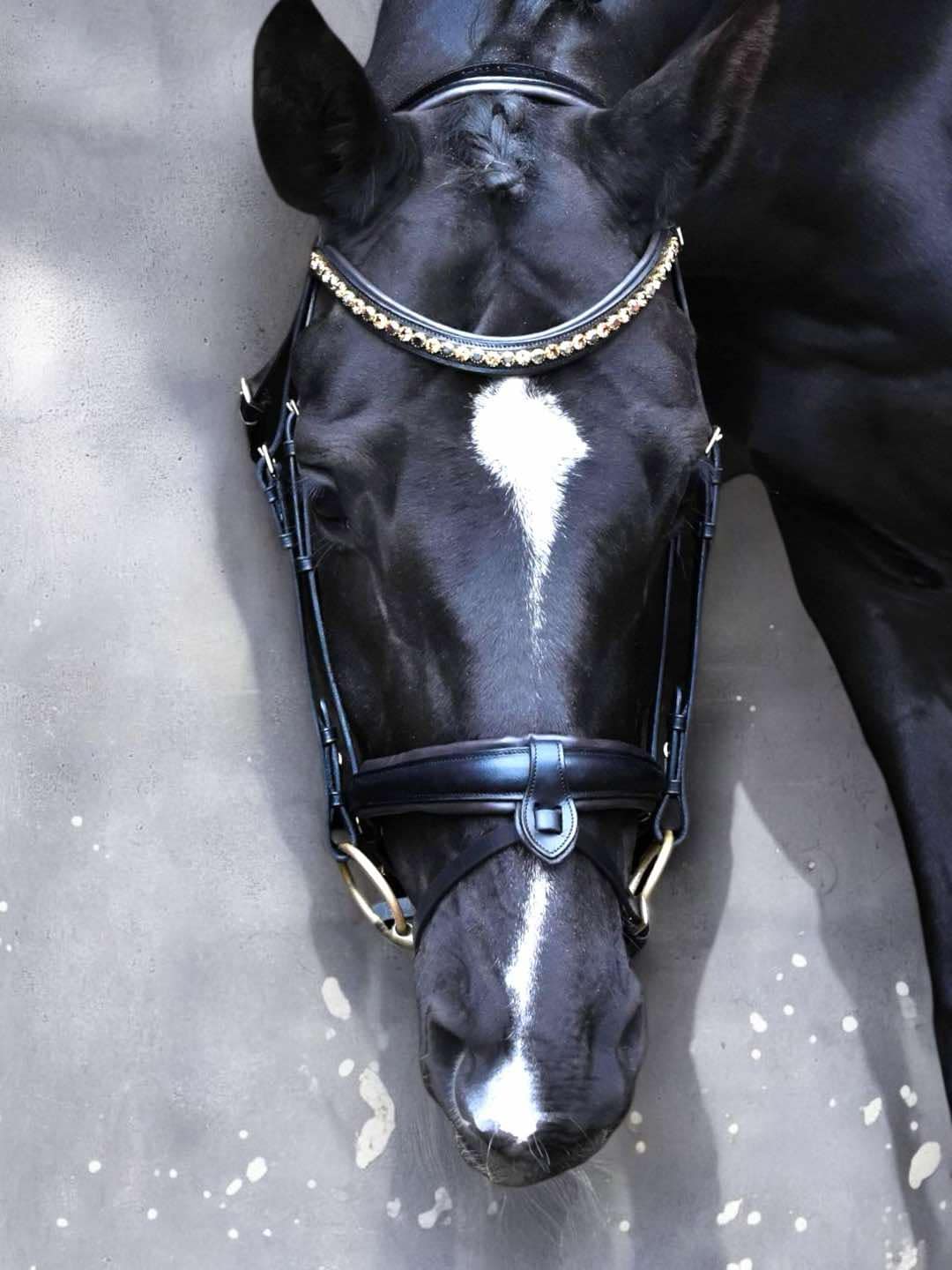 Bridle "Cookie" on italian leather and european crystals