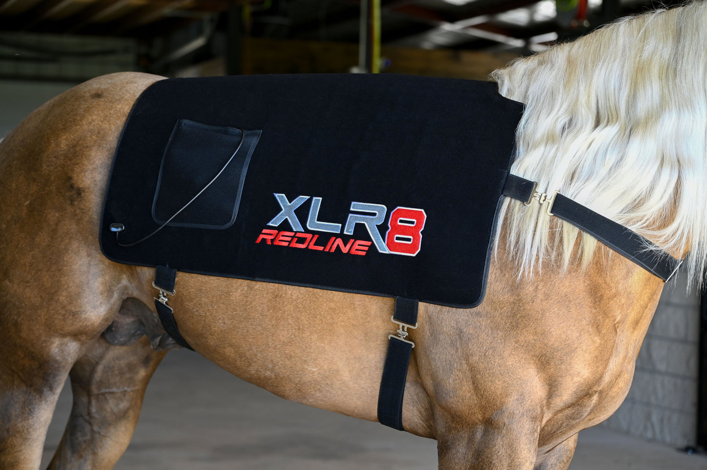 EXLR8 Equine Redline Back Wrap