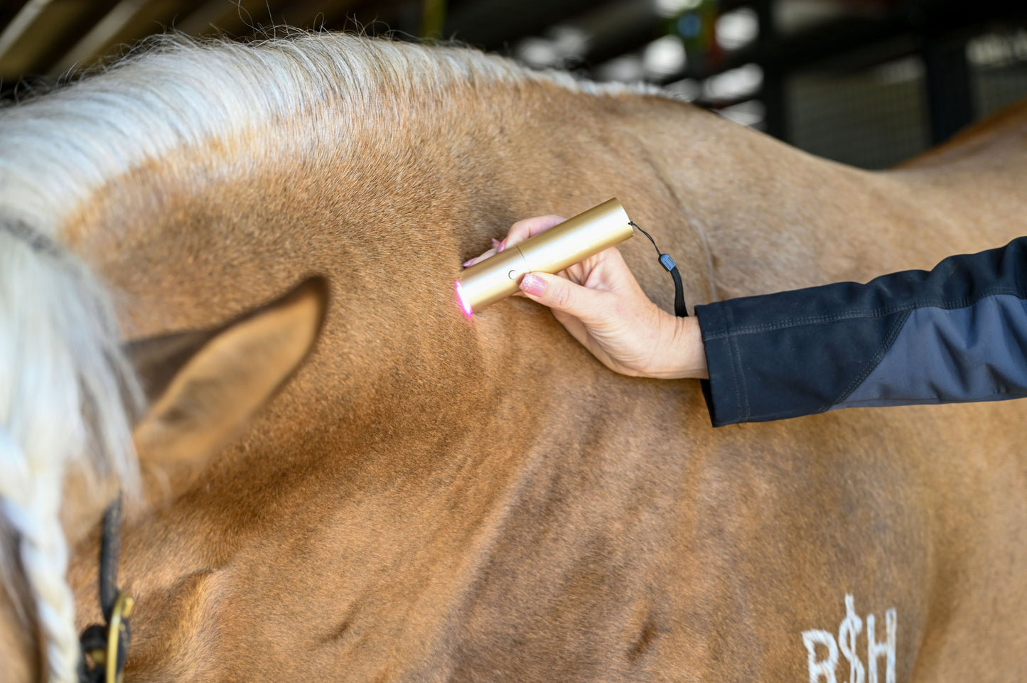 XLR8 EquineIgnite Handheld Therapy Light