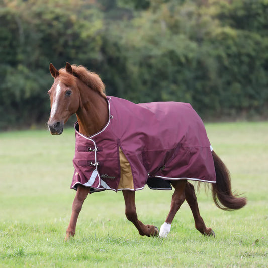 Highlander Plus 100 Turnout Rug Maroon