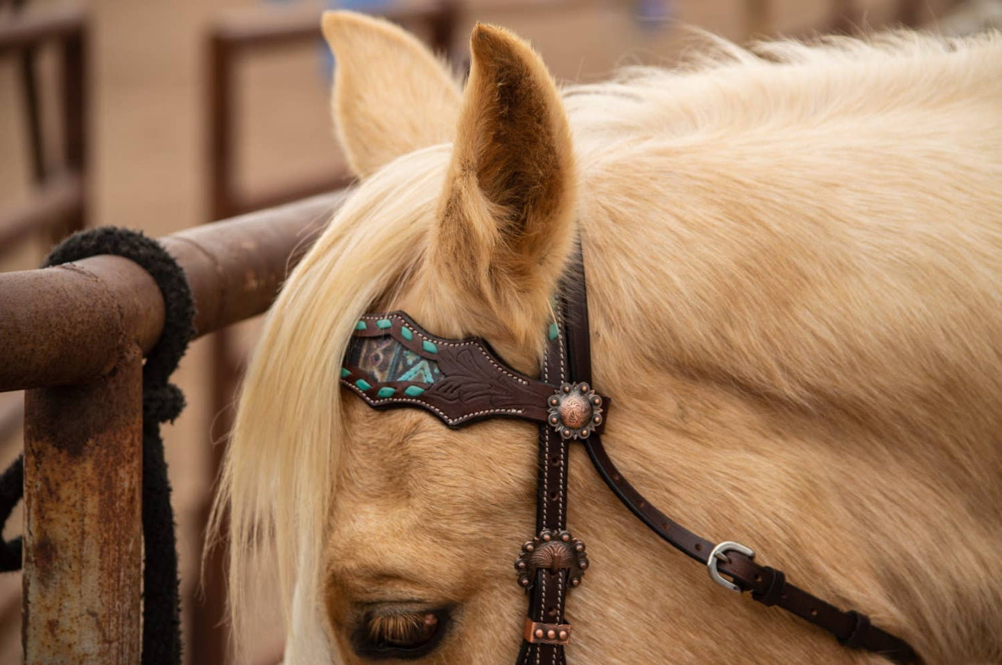 Maverick Fringe Headstall and Breast Collar Set