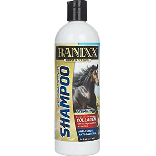 Banixx Medicated Shampoo W/Collagen 16 OZ