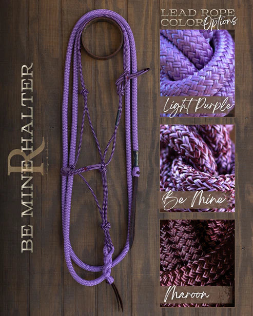 Timeless Halter & Lead Rope Set
