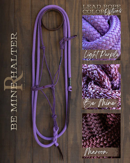 Timeless Halter & Lead Rope Set