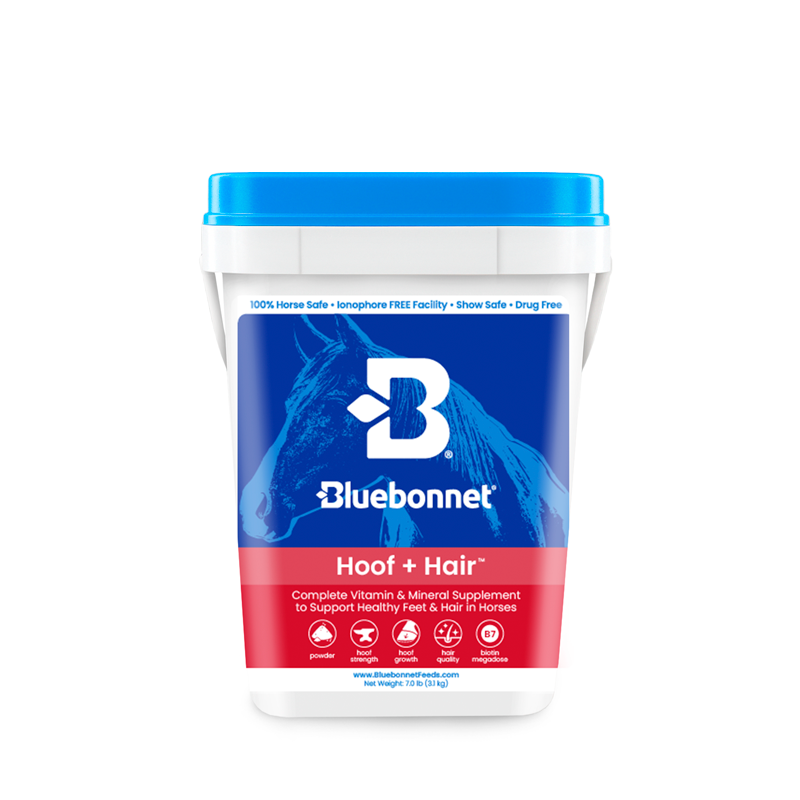 Bluebonnet - Hoof + Hair™ (Nutrimix Plus)
