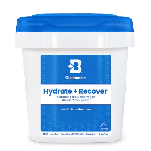 Bluebonnet - Hydrate + Recover™ (Turbo Mag BCAA)