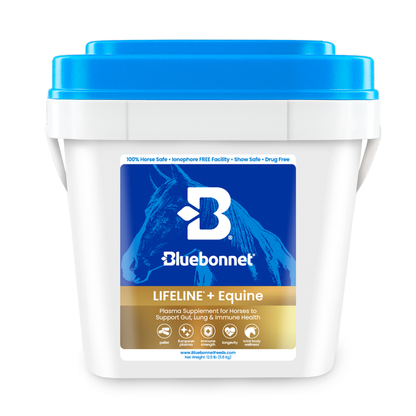 Bluebonnet - 	LIFELINE® + Equine