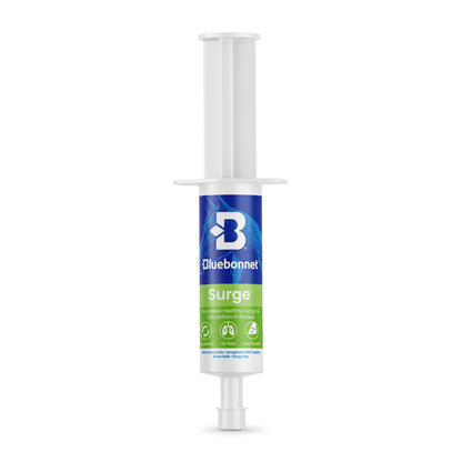 Bluebonnet - Surge™ Paste