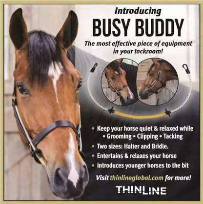 Busy Buddy