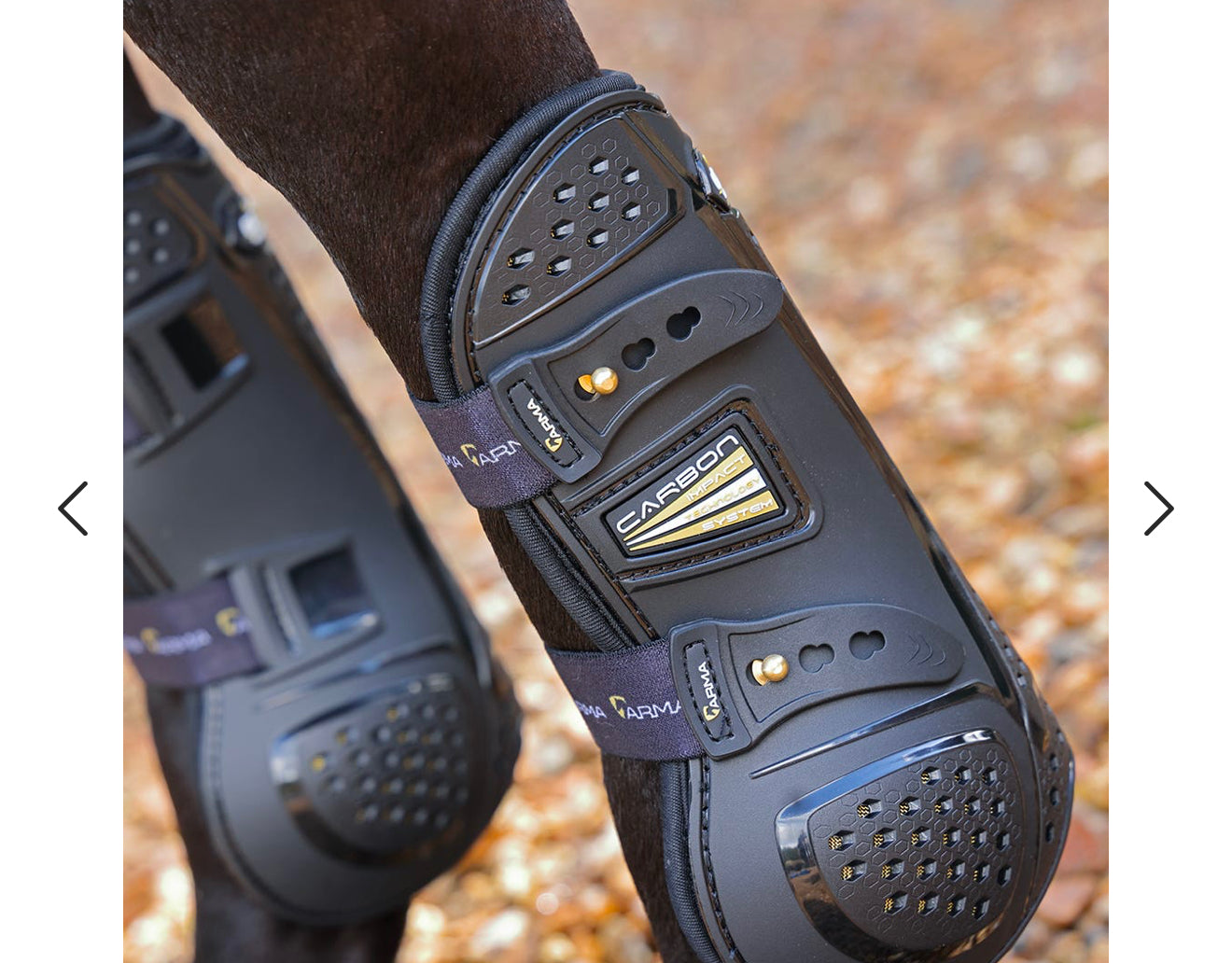 Arma Oxi-Zone Tendon Boots