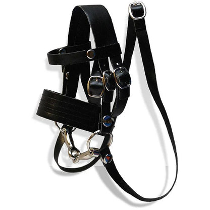 Crafty Ponies English Bridle (Copy)