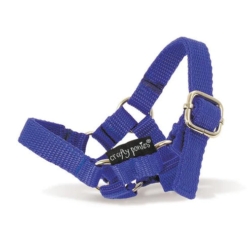 Crafty Ponies Halter