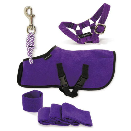 Crafty Ponies Fleece Rug Sets