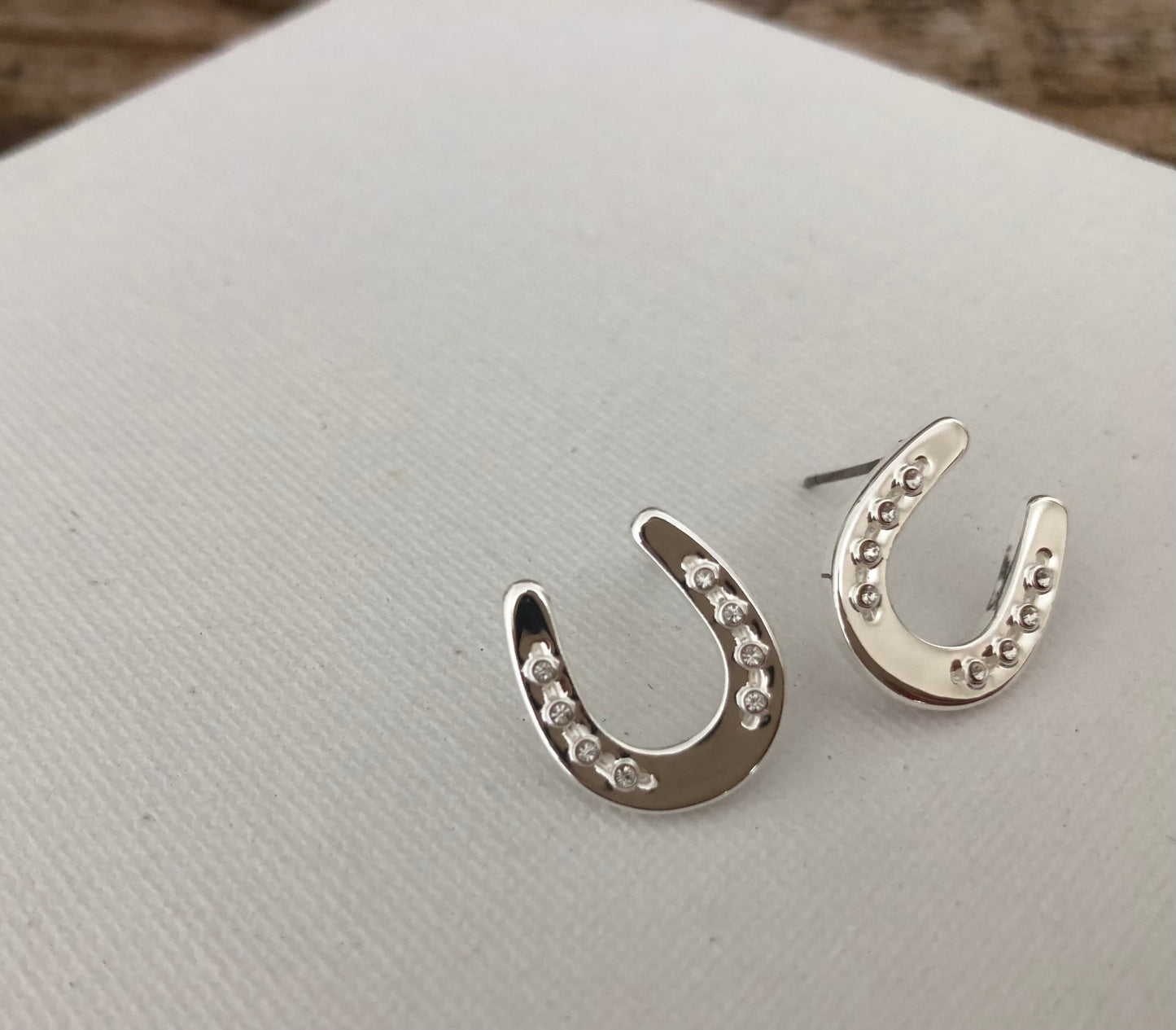 HORSESHOE EARRINGS POST