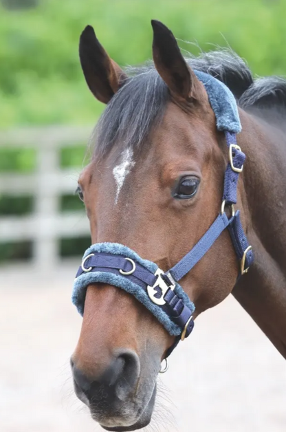 Fleece Lined Lunge Cavesson