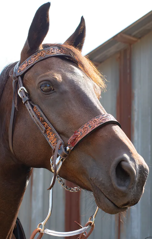 Mechanical Hackamore w/ Leather