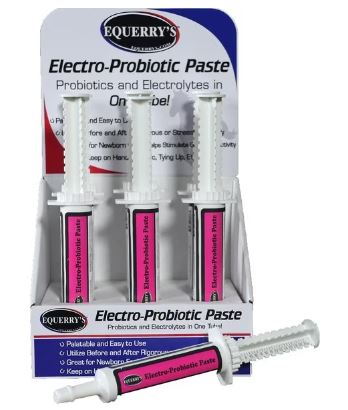 Equerry's Electro-Probiotic Paste Horse Supplement