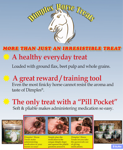 Dimples Horse Treats 1lb