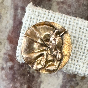 Hunter Jumper Horse Stud Earring