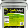 GastroMend – Gastric Health Supplement for Horses - 60 servings