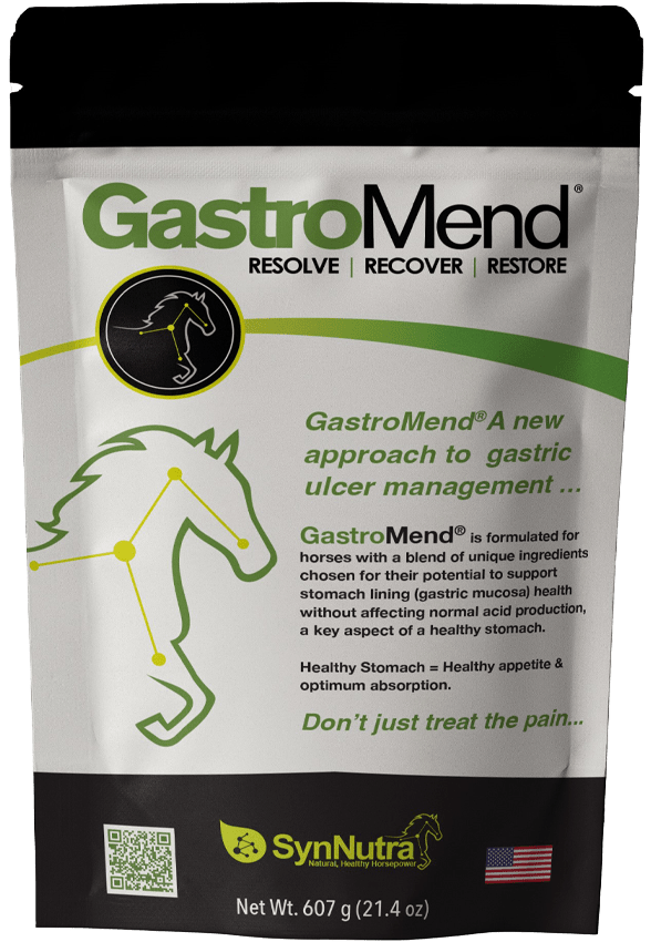 GastroMend – Gastric Health Supplement for Horses - 60 servings