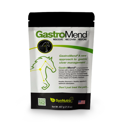 GastroMend – Gastric Health Supplement