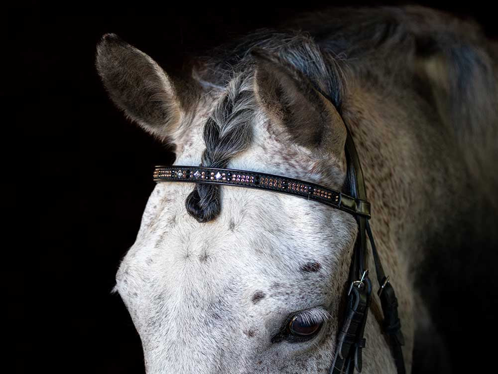 Glistening Copper Browband Full