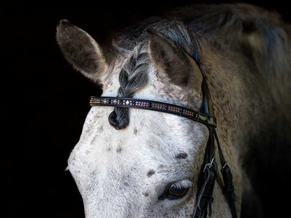 Glistening Copper Browband Full