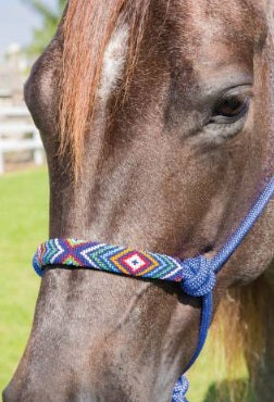 Professional Choice Beaded Rope Halter - Royal Blue