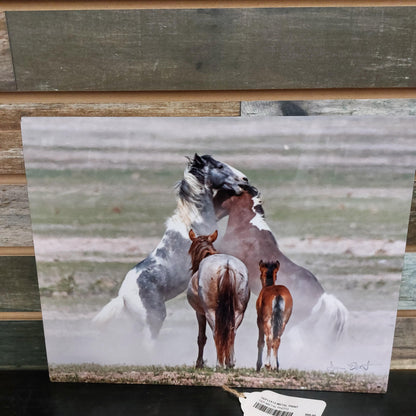 Tammi Elbert 11X14 Wild Horse Metal Print