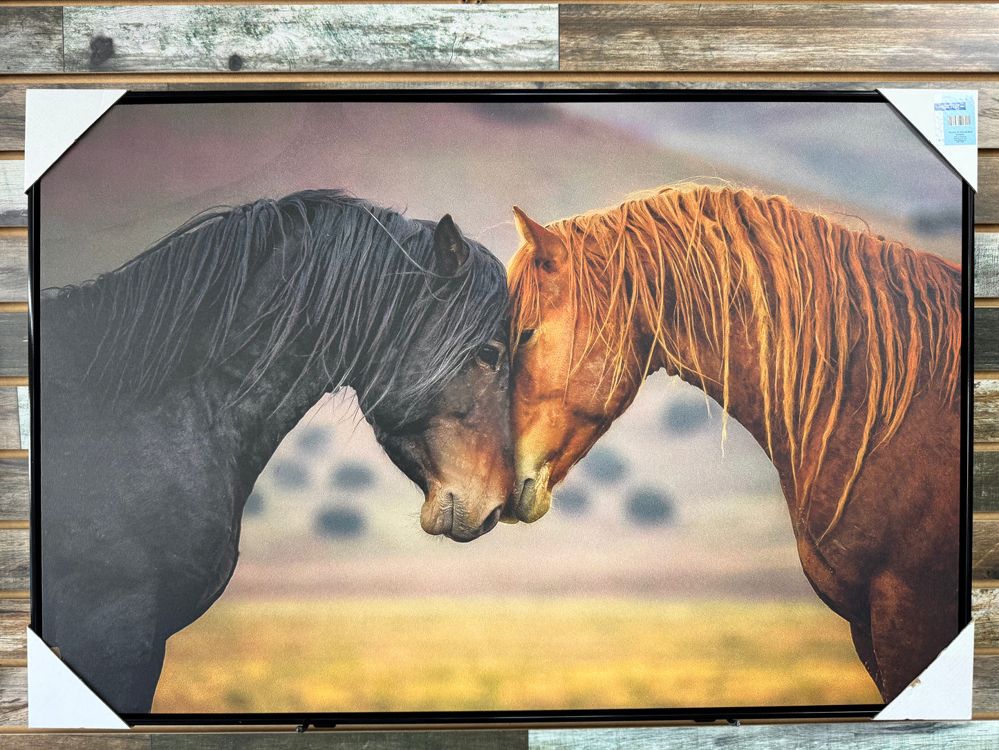 Loving Horses Touching Noses Print