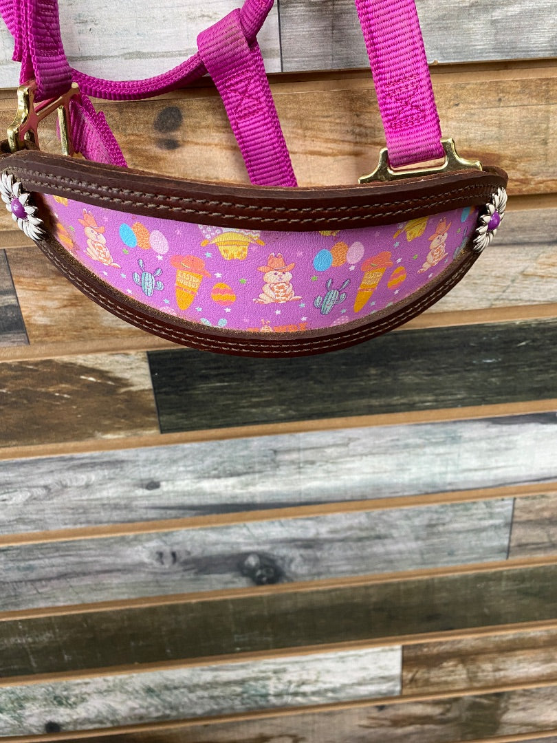 USED Little Paint Leather / Weaver Bronc Noseband Halter Horse Magenta | Cowboy Bunny