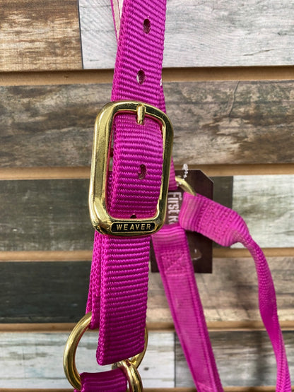 USED Little Paint Leather / Weaver Bronc Noseband Halter Horse Magenta | Cowboy Bunny