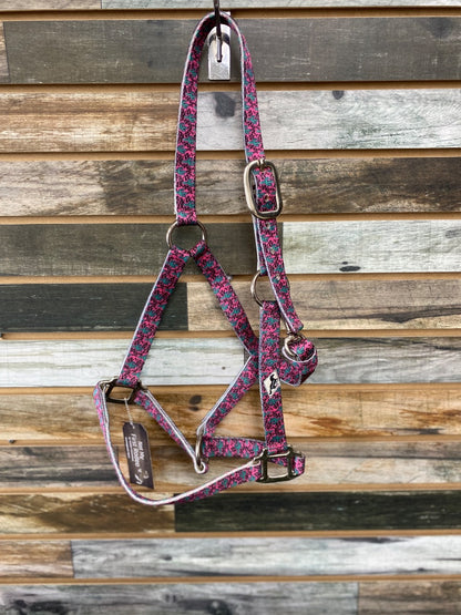 USED WhinneyWear Halter Horse Hot Pink Cactus