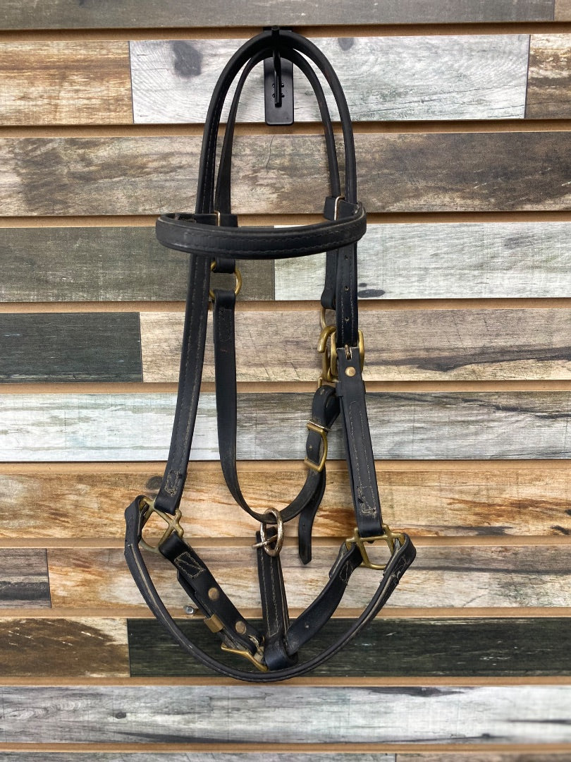 USED  Black Halter Bridle Combo Cob Black