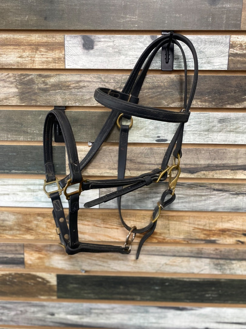 USED  Black Halter Bridle Combo Cob Black