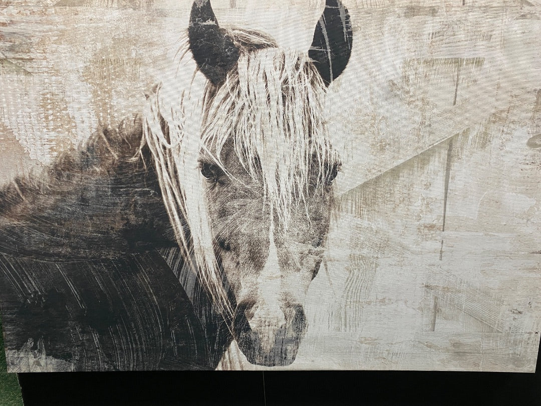 USED  Horse Portrait Canvas Wall Art 36x24 Grey
