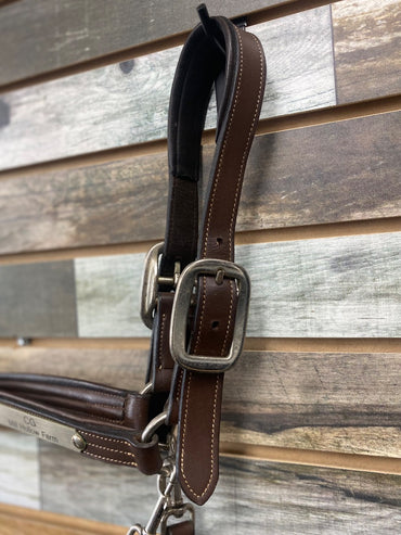 USED Arc De Triomphe Leather Halter Horse Brown