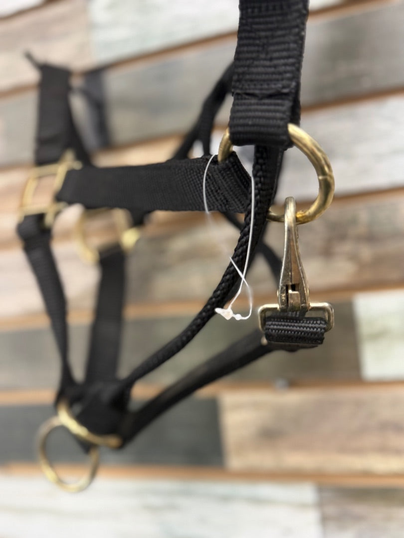 USED Black Nylon Horse Halter | Full