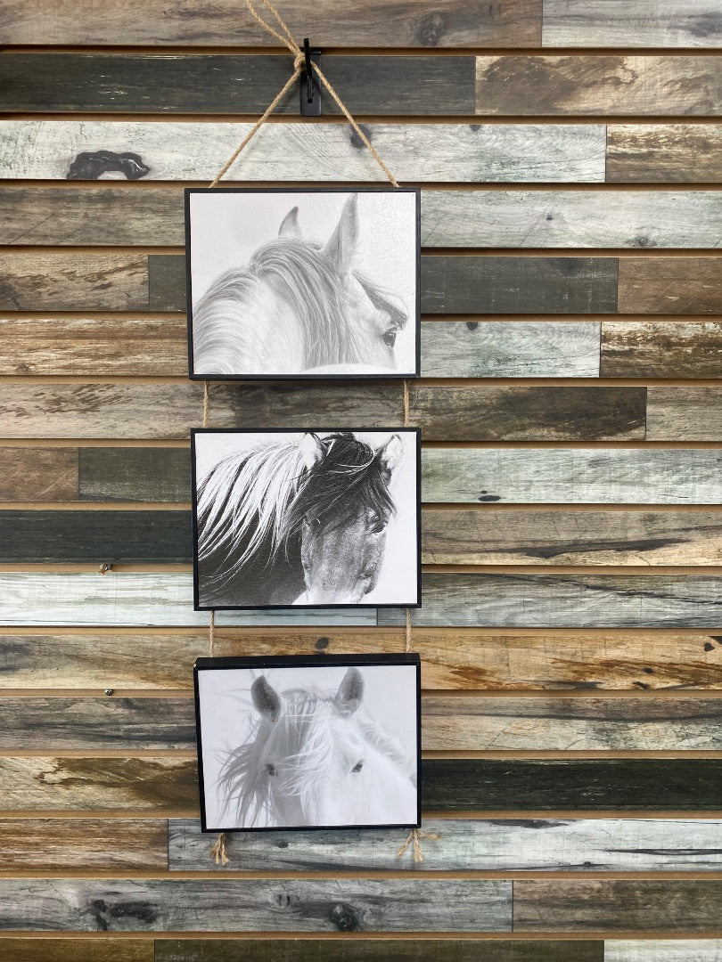 USED B&W 3-Piece Hanging Wall Art