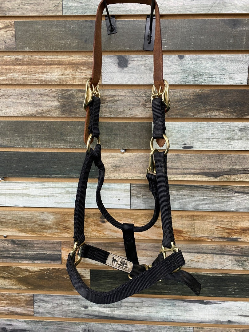 USED Black & Brown Average Weaver Breakaway Halter