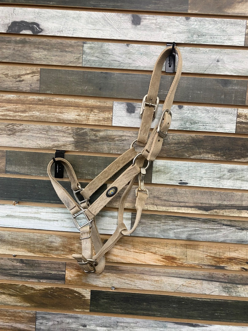 USED Hamilton Nylon Halter Horse Tan
