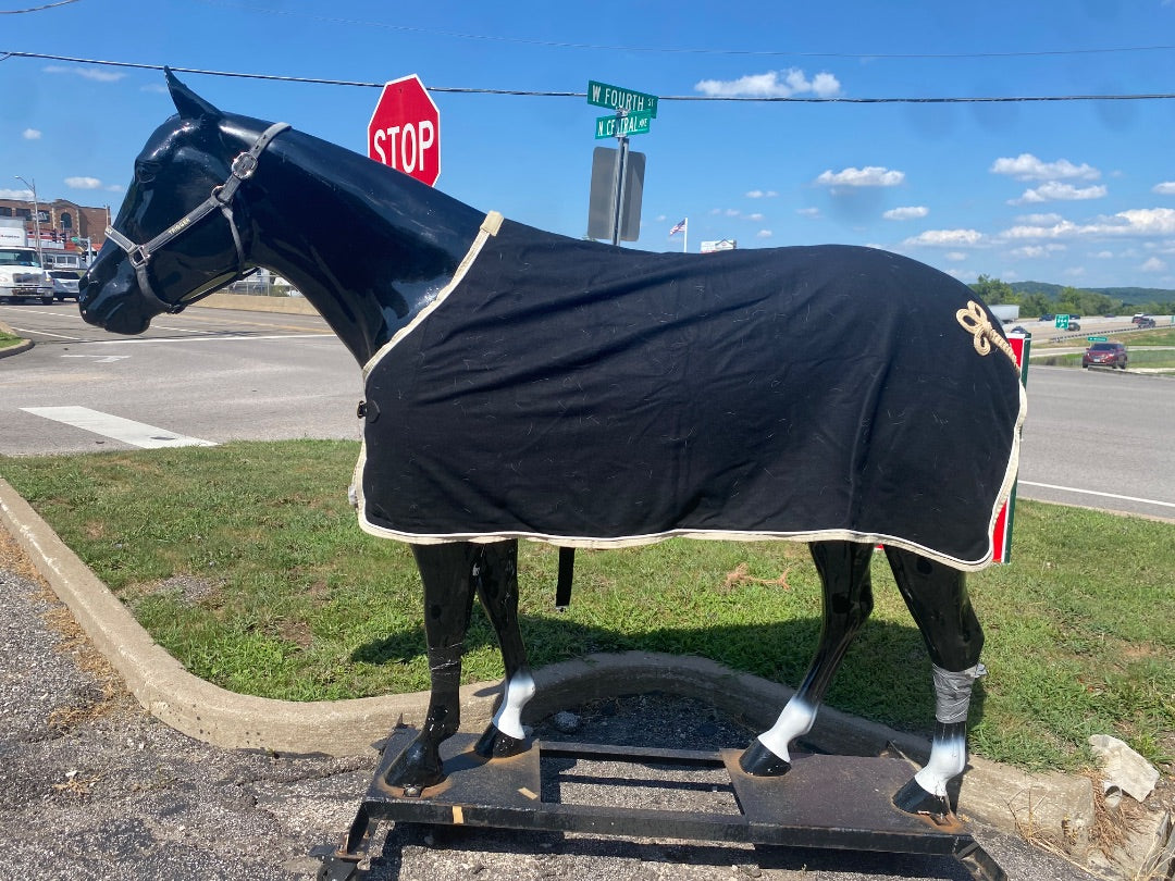 USED  Heavy Show Rug 75" Black