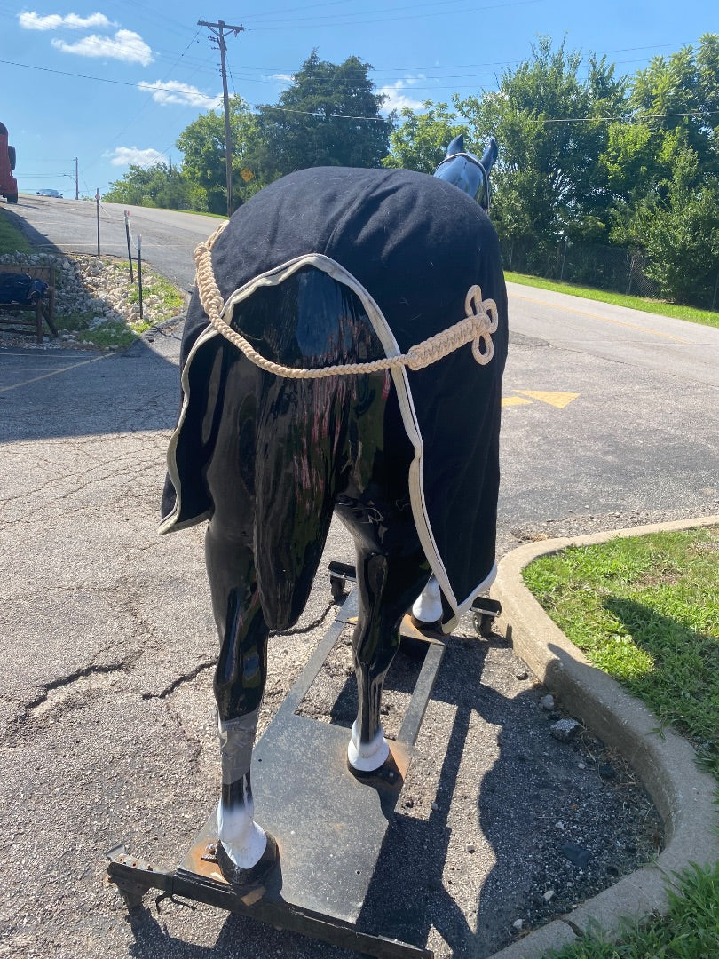 USED  Heavy Show Rug 75" Black
