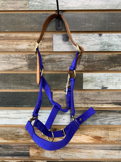 USED No Brand Royal Blue Pony Breakaway Halter